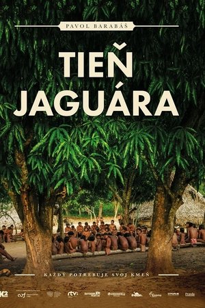Tieň jaguára