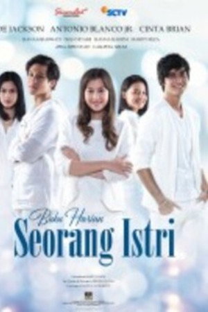 Buku Harian Seorang Istri