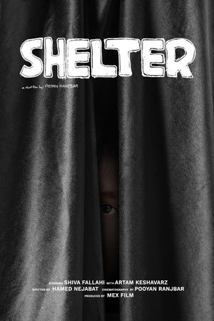 Shelter