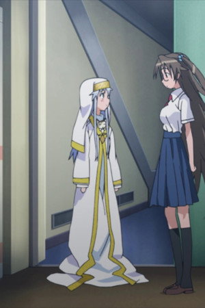 Counter Stop (Identity Unknown)