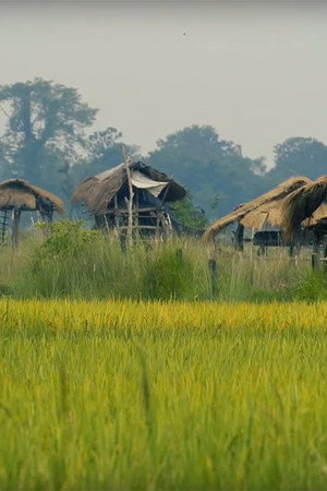 Kinarako Katha