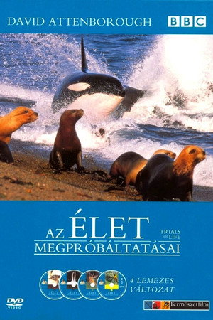 Az élet megpróbáltatásai