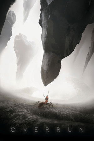 Imagen de Overrun