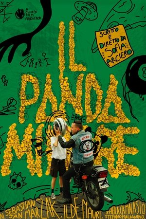Il Panda Minore