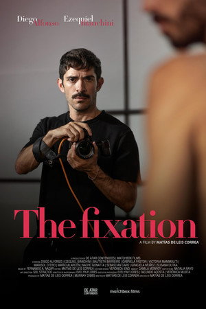 La fijación