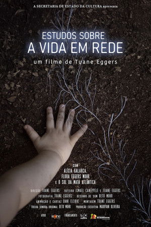 Estudos Sobre A Vida Em Rede