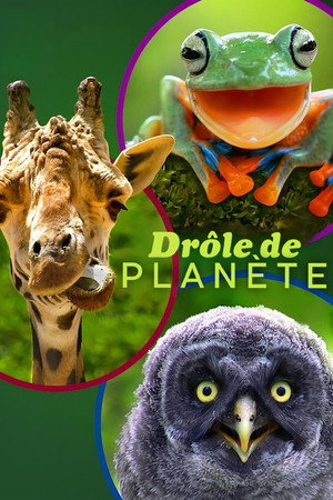 Drôle de planète