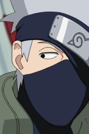 Shinobiho rozhodnutí