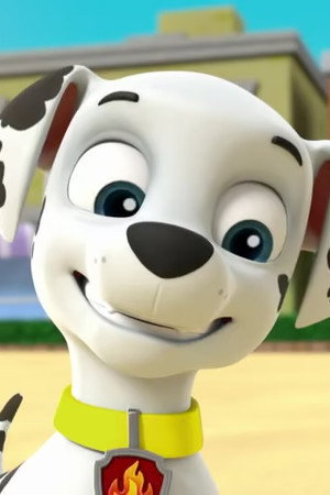 Pups Save a Space Toy