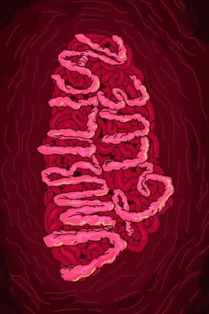 Umbilical Glue