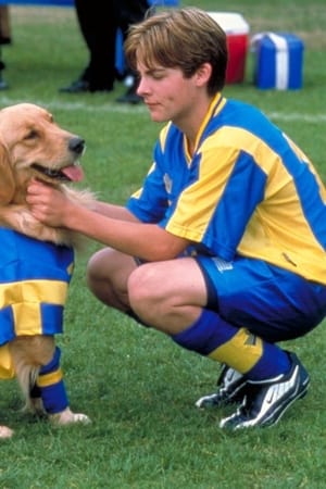 Air Bud - Fotbalista