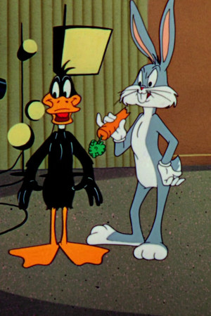 Person to Bunny
