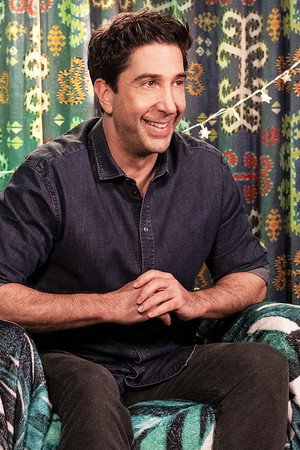 David Schwimmer - If I Had a Sleepy Sloth