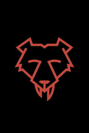 Reel Bear Media