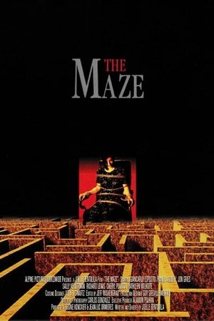 The Maze