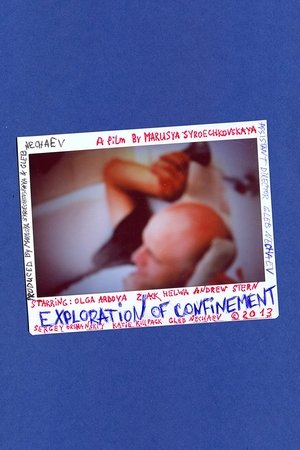Exploration of Confinement