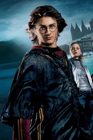 Harry Potter a Ohnivý pohár