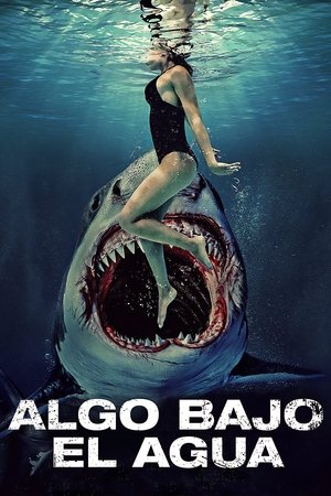 Imagen de Algo bajo el agua