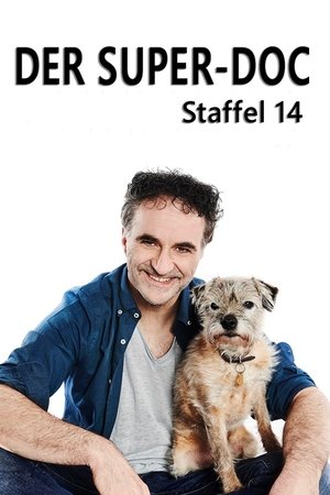 sezóna