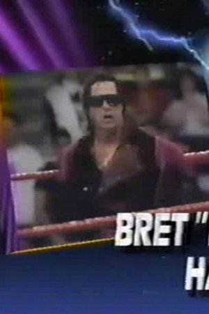 May 25, 1991 - Superstars of Wrestling 247