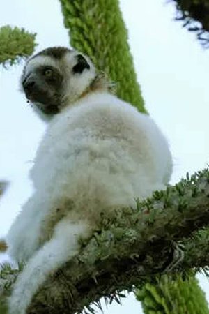 8. epizoda