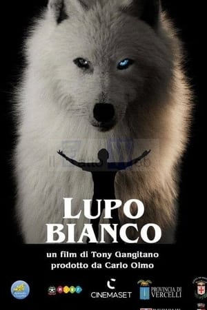 Lupo bianco