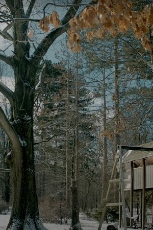 Treehouse