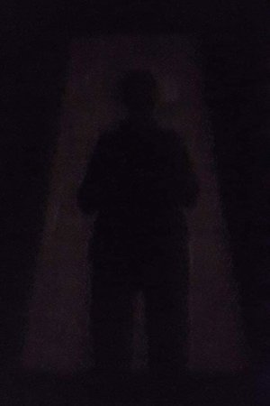 An Image in the Shadow