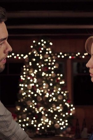 A Holiday Boyfriend