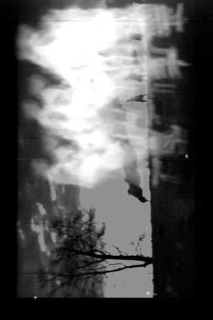 Foto-climas