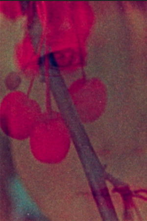 Naissance des étoiles #2