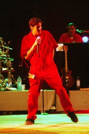 Beastie Boys: Open Air Festival