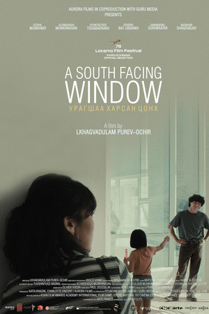 A South Facing Window