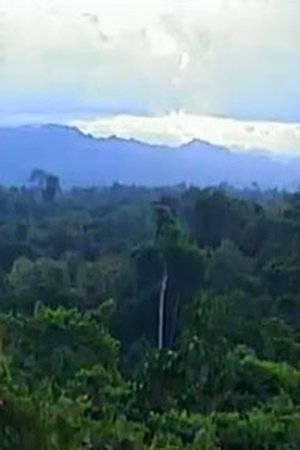 Papua - Nová Guinea: Potomci lidojedů