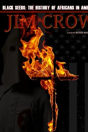 Jim Crow: The History of Africans in America
