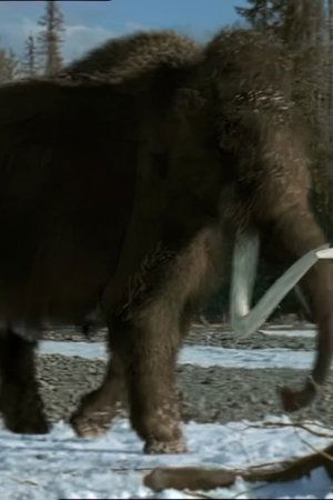 Mamut