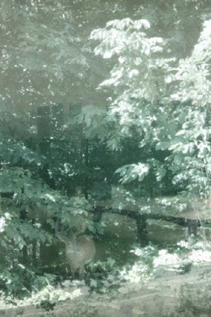 Weather, There