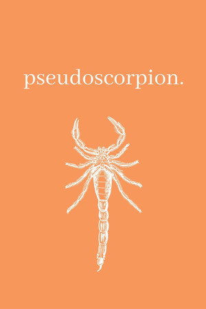 Pseudoscorpion