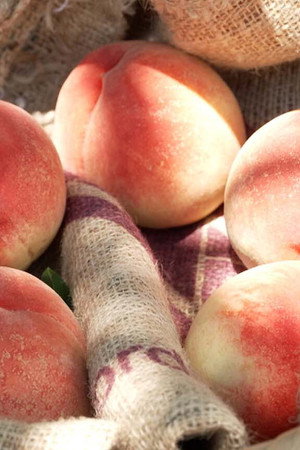 Peaches