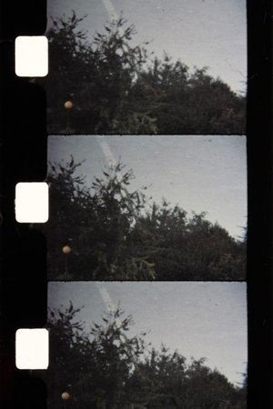 Soleil d'Automne