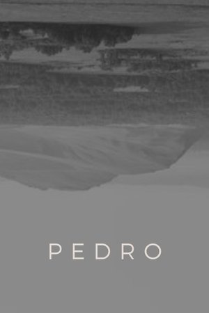 Pedro