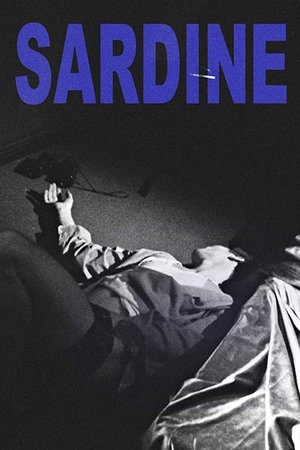 Sardine