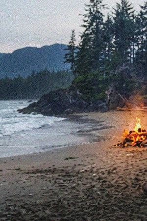 The Cove