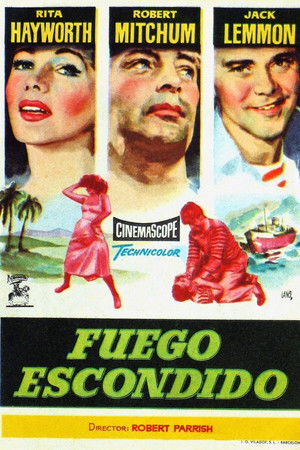 Imagen de Fuego escondido