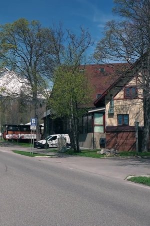 Hotel Tulipán