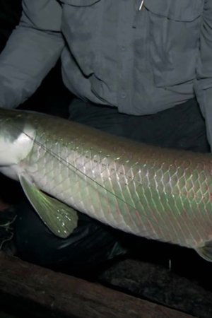 5. epizoda
