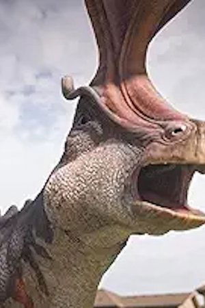 6. epizoda