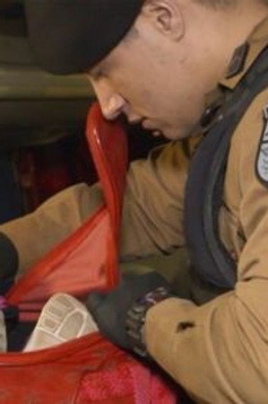 Just Another Day In Paradise