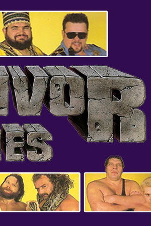 WWF Survivor Series 1988