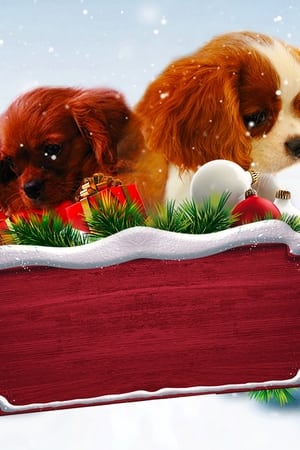 Project: Puppies for Christmas